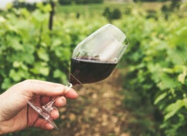 Wein und Gesundheit: Glas Rotwein im Wald